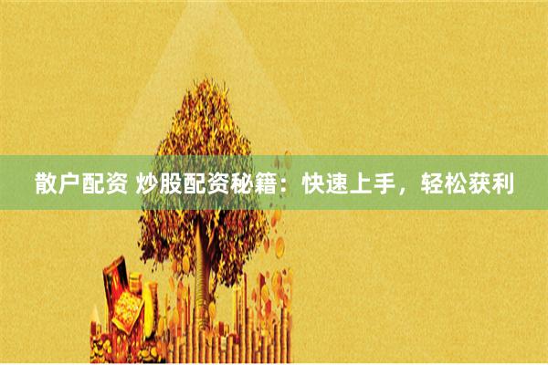 散户配资 炒股配资秘籍：快速上手，轻松获利